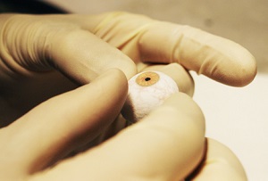 150 глазных протезов в час на 3D принтере